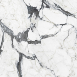 Florim Les Bijoux Calacatta Altissimo Blanc 120x120 Glossy Rett. Gat. 1