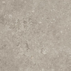 EMIL CERAMICA Ever-Stone GREY 100x100 Naturale 20mm Rett. Gat. 1 EN5Z