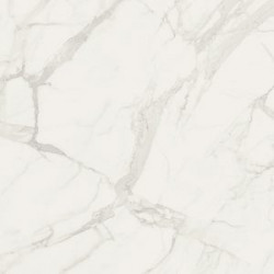 Gres Fioranese Marmorea Bianco Statuario 60x60 Lev.Rett.Gat.1