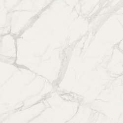 Gres Fioranese Marmorea Bianco Statuario 60x60 Rett.Gat.1