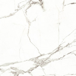 Fioranese Marmorea Intensa Bianco Luce 60x60 Lev. Rett. Gat.1
